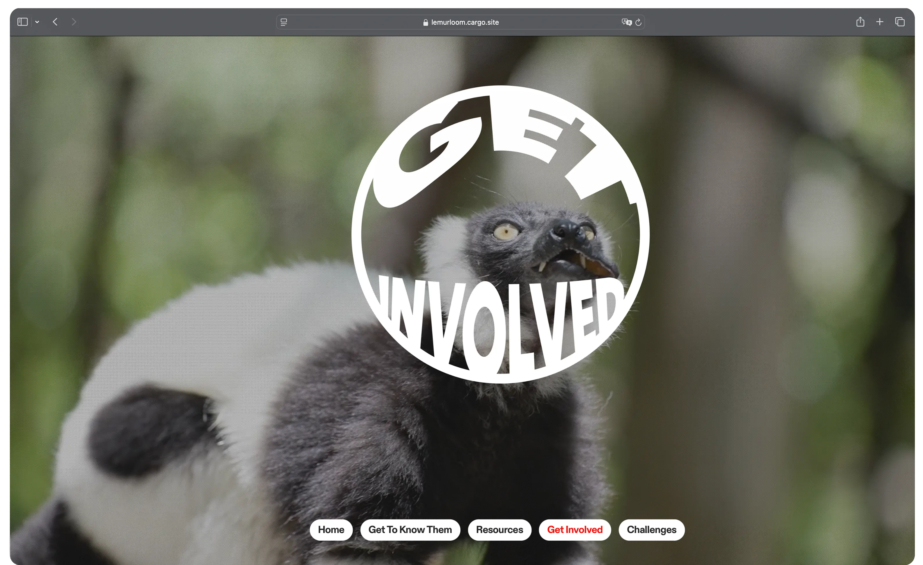 Lemur Loom 1